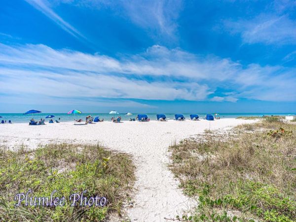 Indian Rocks Indian Shores Condo 983849