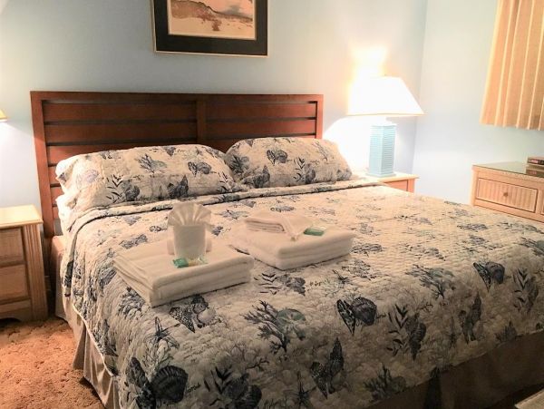 Indian Shores Ai Condo 983864