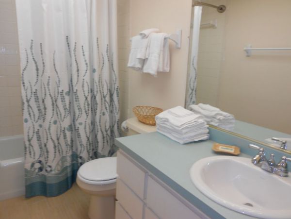Indian Rocks Indian Shores Condo 983878