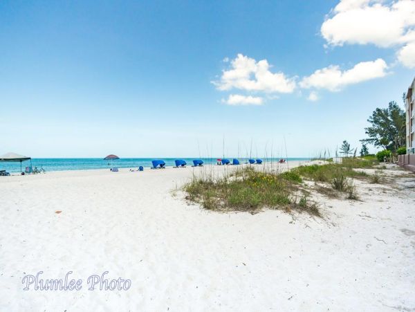 Indian Shores Ai Condo 983882