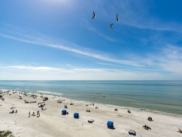 Indian Shores Ai Condo 983885