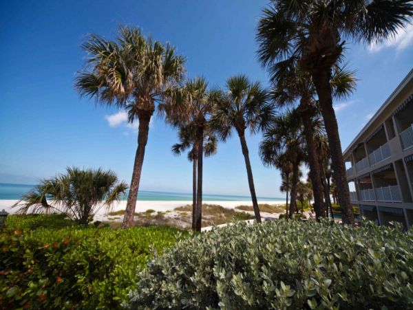 Indian Shores Ai Condo 983889