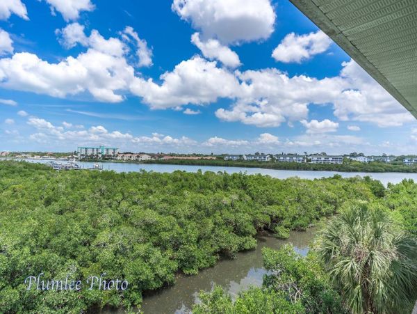Indian Rocks Indian Shores Condo 983890