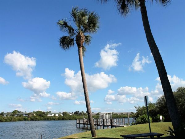 Indian Rocks Indian Shores Condo 983890