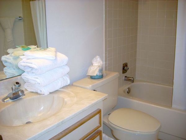 Indian Rocks Indian Shores Condo 983898