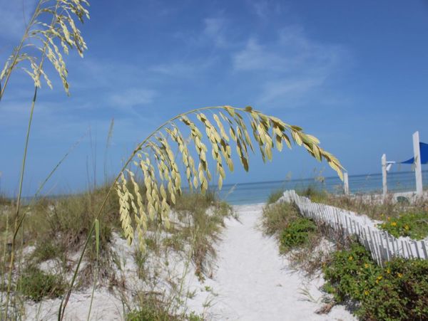 Indian Rocks Indian Shores Condo 983898
