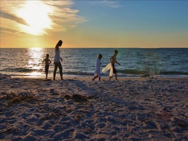 Clearwater Condo 983907