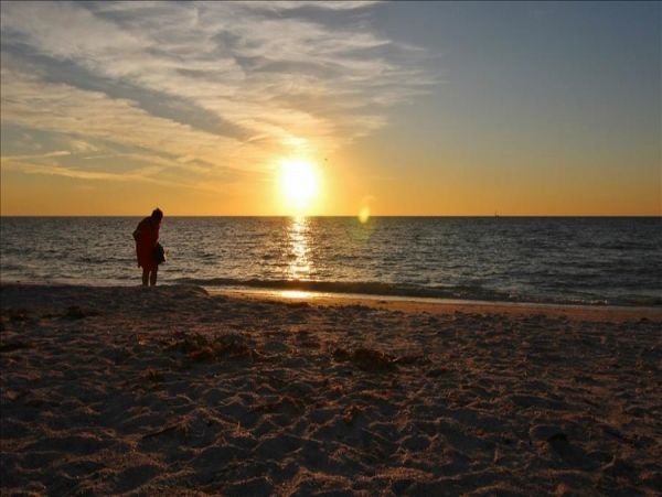 Clearwater Condo 983915