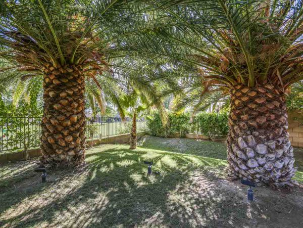 Palm Desert Home 983933