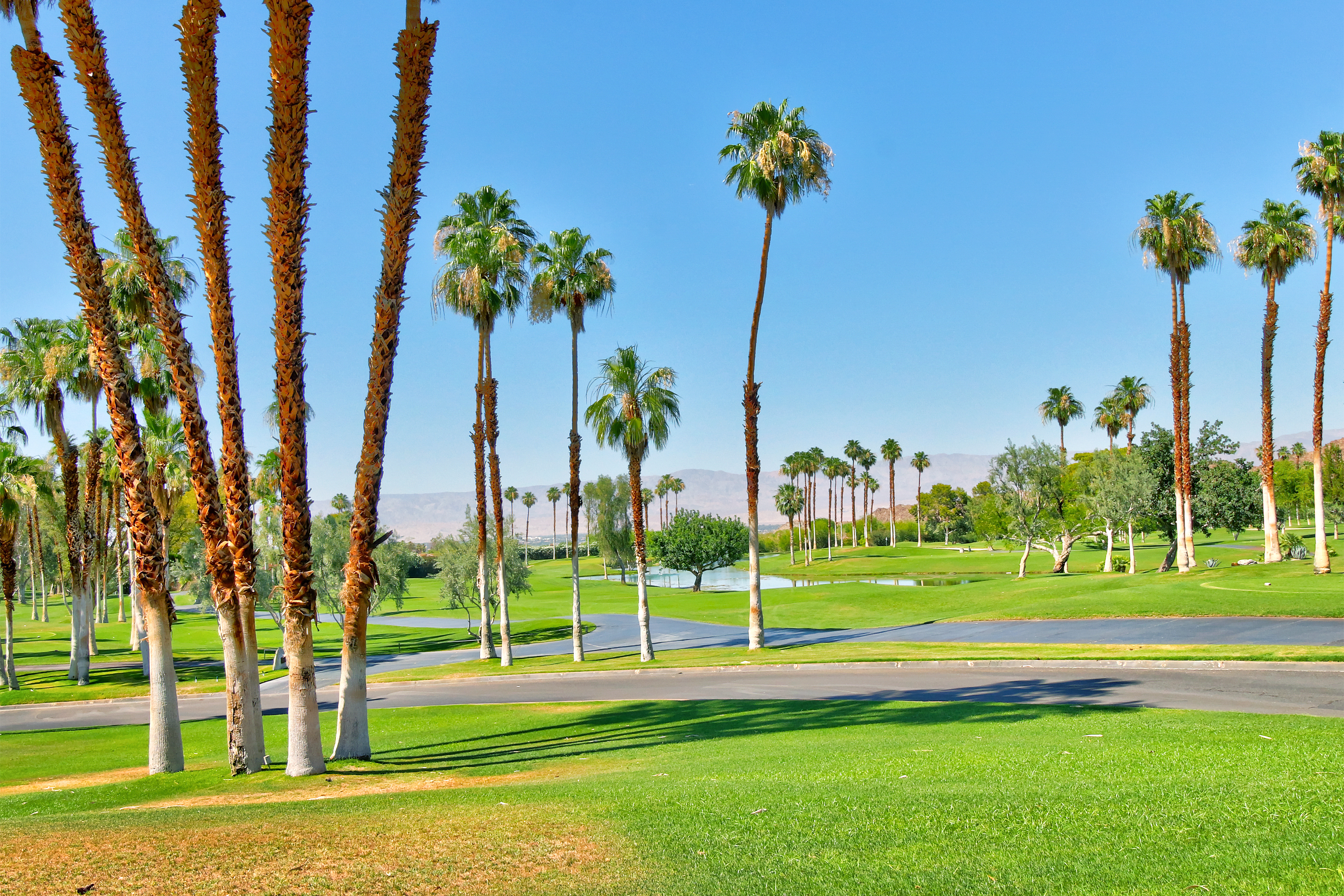 Palm Desert Home 983952