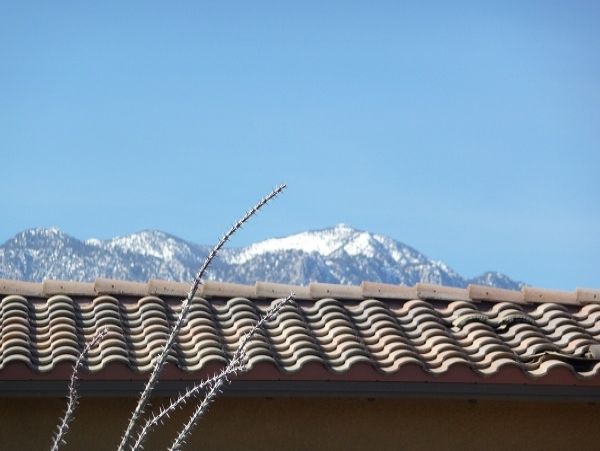 Palm Desert Home 984003
