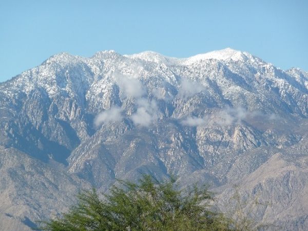 Palm Desert Home 984003
