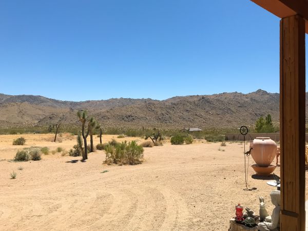 Palm Springs Home 984022