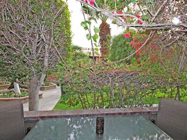 Palm Springs Home 984032