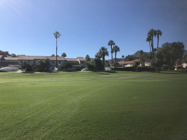 Palm Springs Home 984041