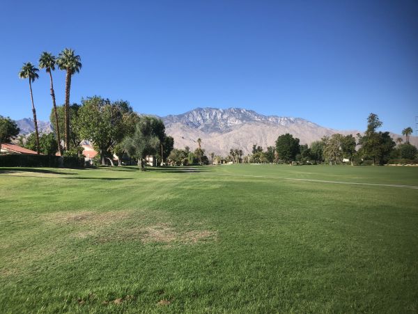 Palm Springs Home 984041