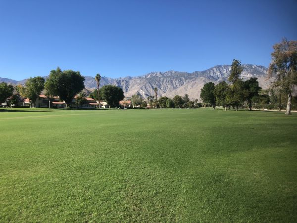 Palm Springs Home 984041