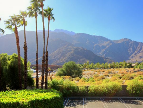 Palm Springs Home 984044