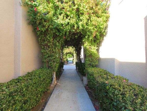 Palm Springs Home 984147