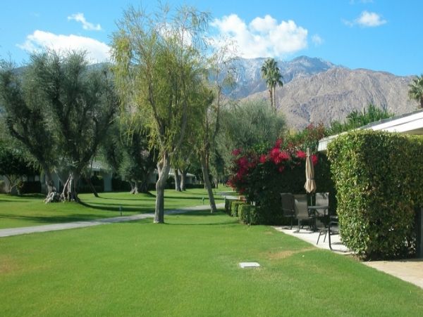 Palm Springs Home 984214