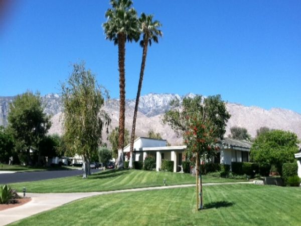 Palm Springs Home 984214