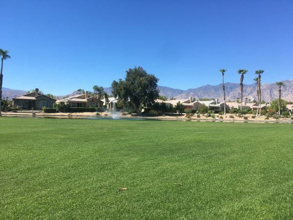 Palm Springs Home 984233