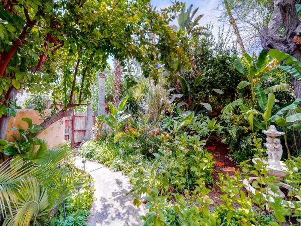Palm Springs Home 984247