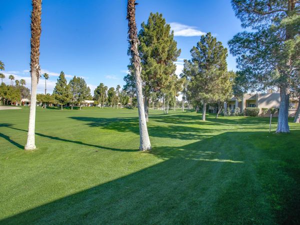 Palm Springs Home 984251
