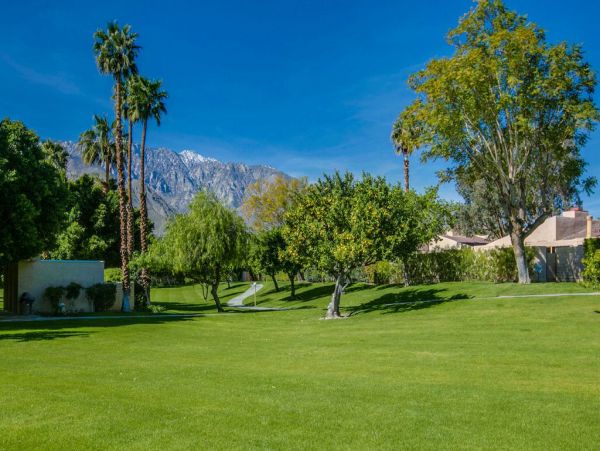 Palm Springs Home 984252
