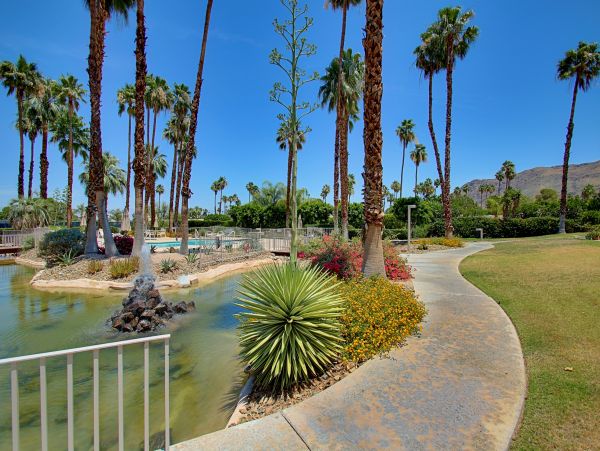 Palm Springs Home 984256