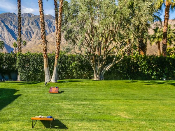 Palm Springs Home 984268