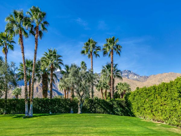 Palm Springs Home 984268