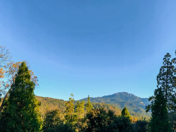 Palm Springs Home 984282