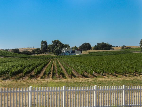 Santa Barbara County Home 984308