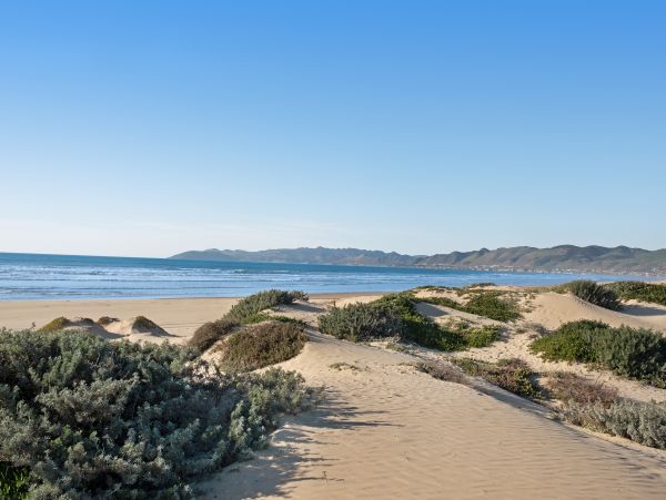 Santa Barbara County Home 984315