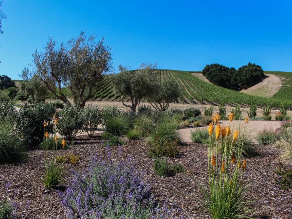 Santa Barbara County Home 984343