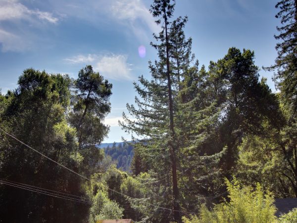 Santa Cruz County Home 984363