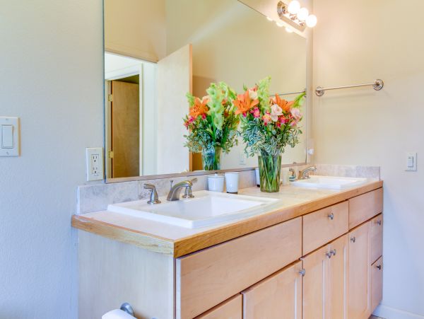 Sonoma County Home 984379
