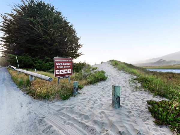 Sonoma County Home 984381