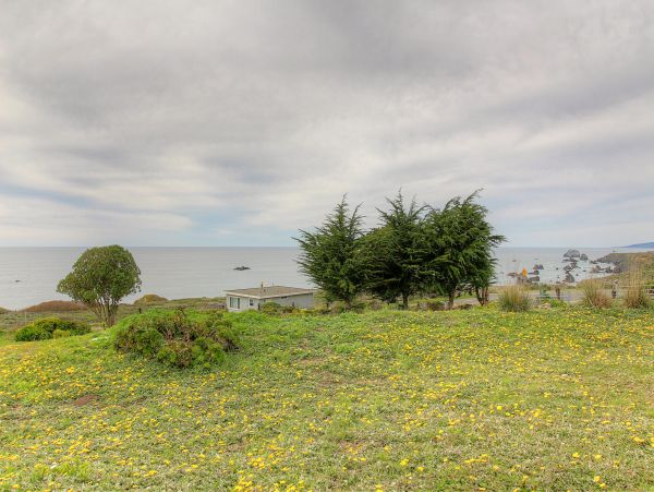 Sonoma County Home 984382