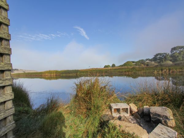 Sonoma County Home 984386