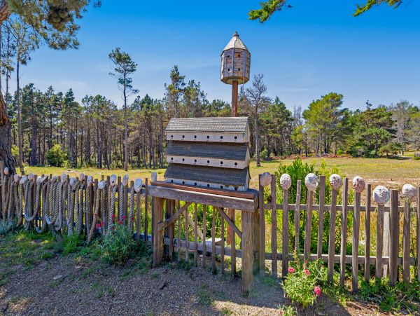 Sonoma County Home 984388