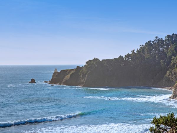 Sonoma County Home 984392