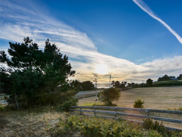 Sonoma County Home 984395