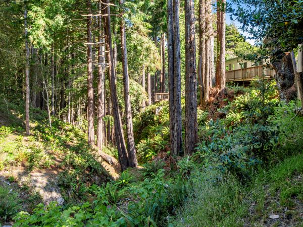 Sonoma County Home 984396