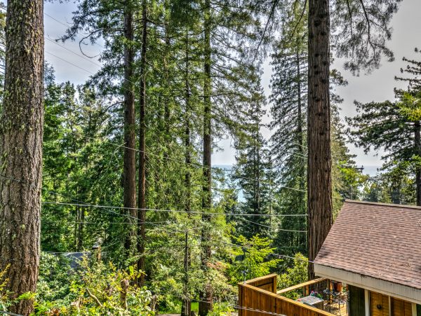 Sonoma County Home 984399