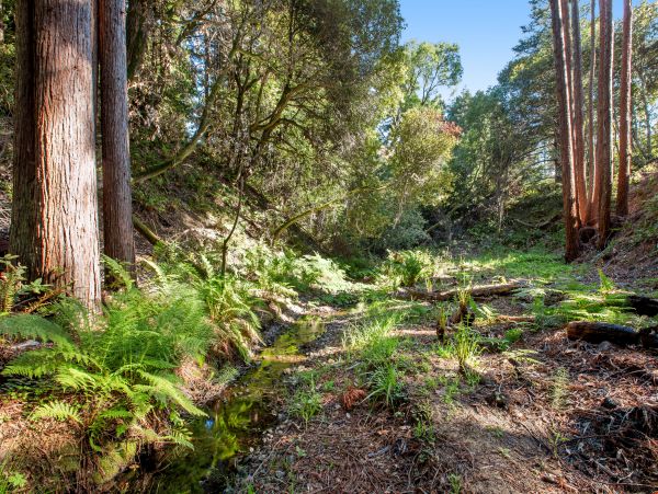 Sonoma County Home 984400