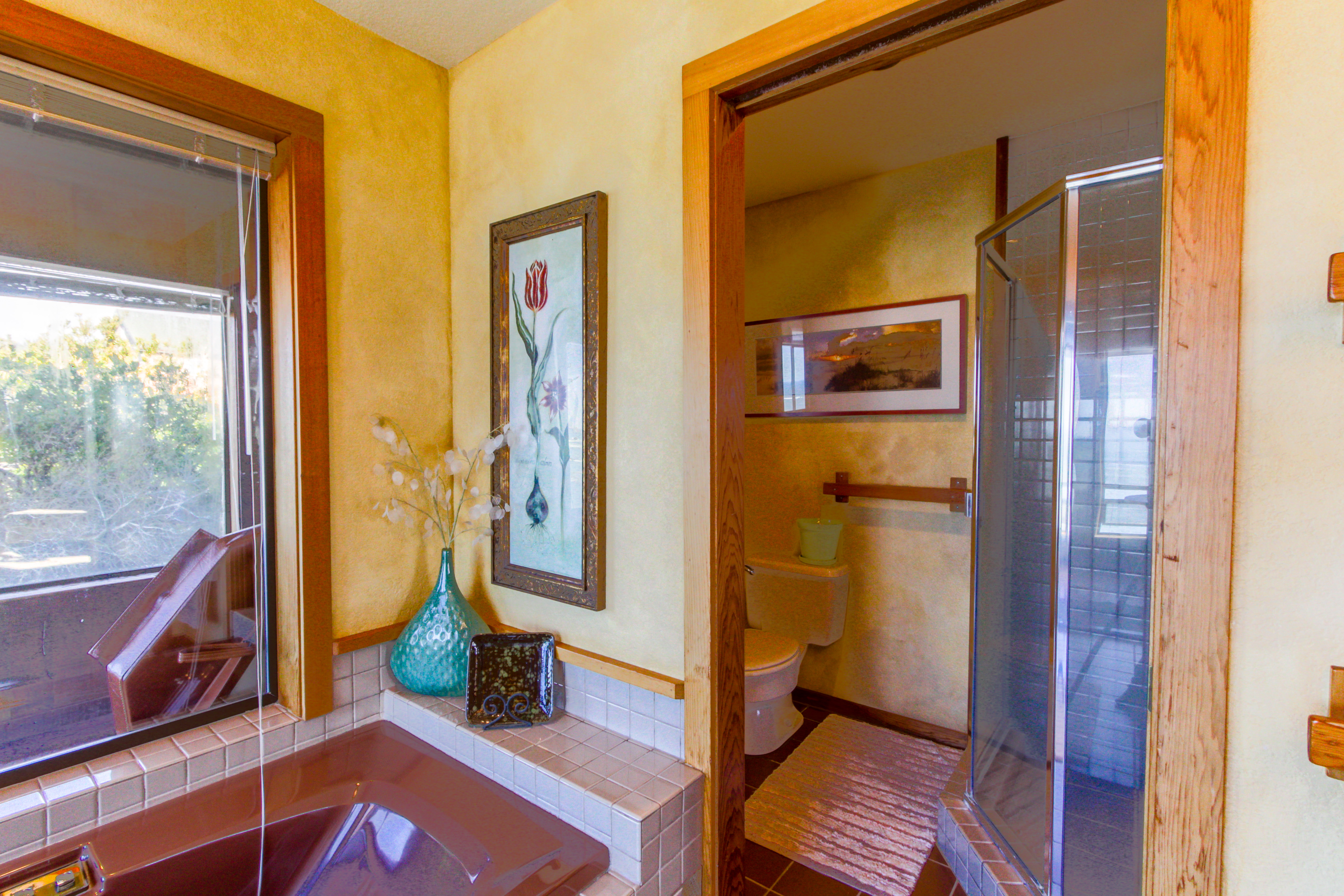 Sonoma County Home 984401