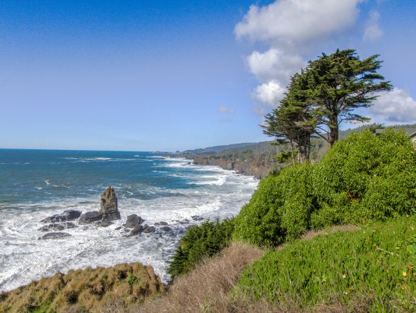 Sonoma County Home 984401