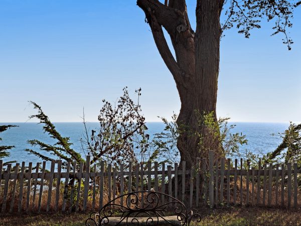 Sonoma County Home 984413